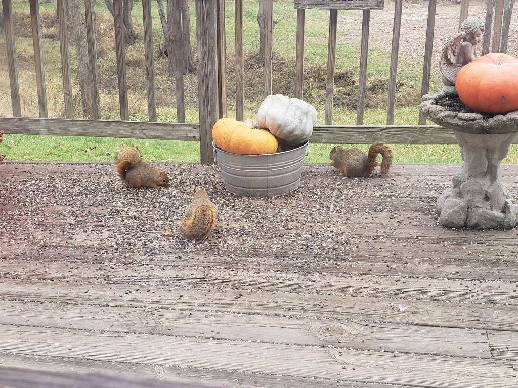 Riverside Family Restaurant | restaurant | 8295 Midland Rd, Freeland, MI 48623, USA | 9896955563 OR +1 989-695-5563