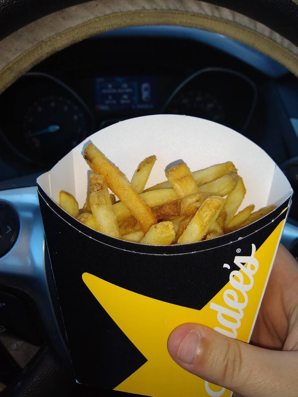 Hardees | restaurant | 107 Buffalo Rd, Clinton, TN 37716, USA | 8654638834 OR +1 865-463-8834