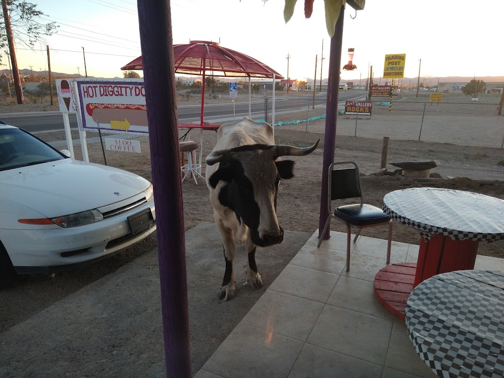 Hot Diggity Dog | restaurant | 16037 Pierce Ferry Rd, Dolan Springs, AZ 86441, USA | 9282494799 OR +1 928-249-4799