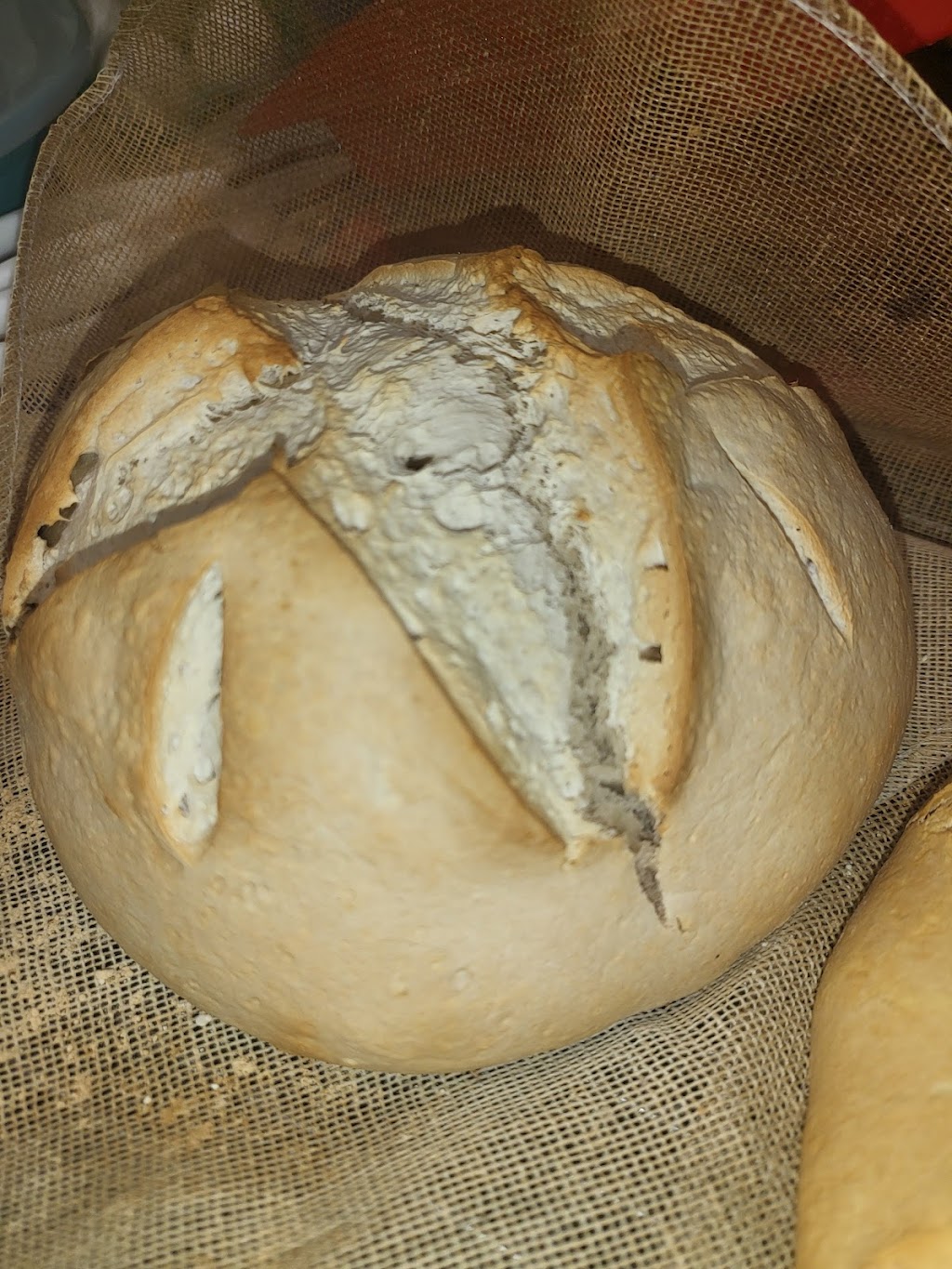 Offbeat-Eats | meal takeaway | Offbeat-Eats, 207 S Rose St, Fulton, MS 38843, USA | 4142026028 OR +1 414-202-6028