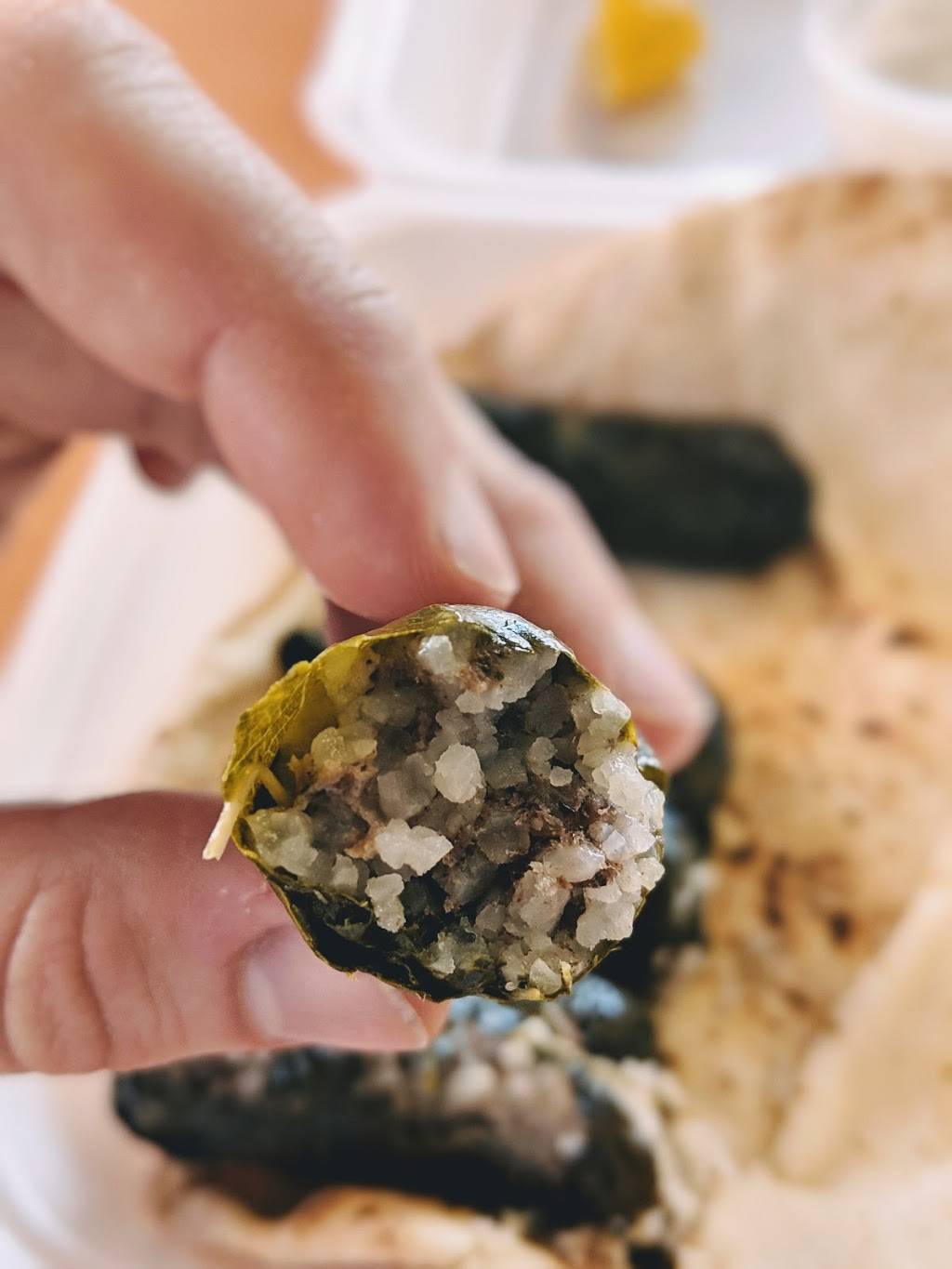 Shawarma Kingdom | restaurant | 33757 Woodward Ave, Birmingham, MI 48009, USA | 2487124460 OR +1 248-712-4460