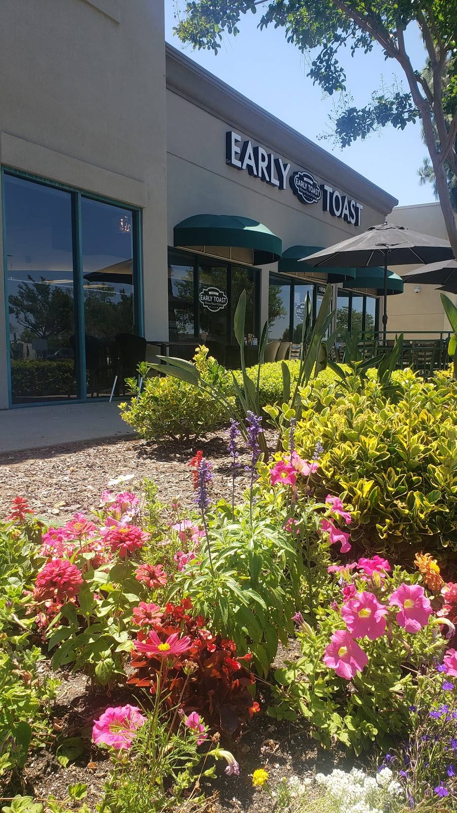 Marios Early Toast-#2 | restaurant | 1950 Douglas blvd suite#7A, Roseville, CA 95661, USA | 9163477741 OR +1 916-347-7741