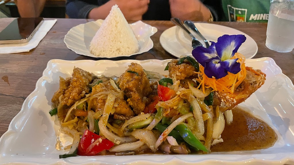 Payaathai Cuisine | restaurant | 13416 Boyette Rd, Riverview, FL 33569, USA | 8136555491 OR +1 813-655-5491