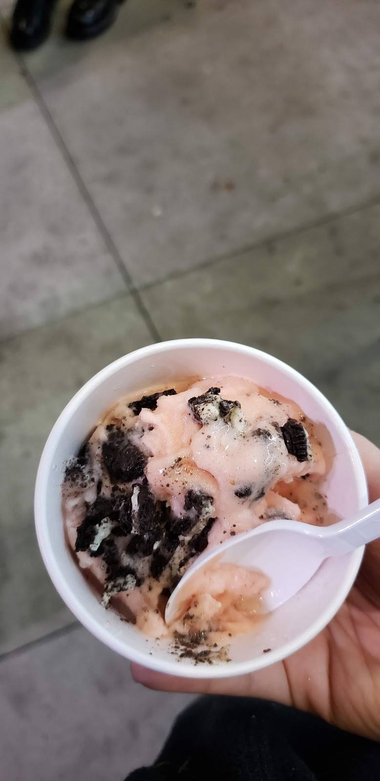 Cold Stone Creamery | bakery | 35607 US Hwy 19 N, Palm Harbor, FL 34684, USA | 7277851300 OR +1 727-785-1300