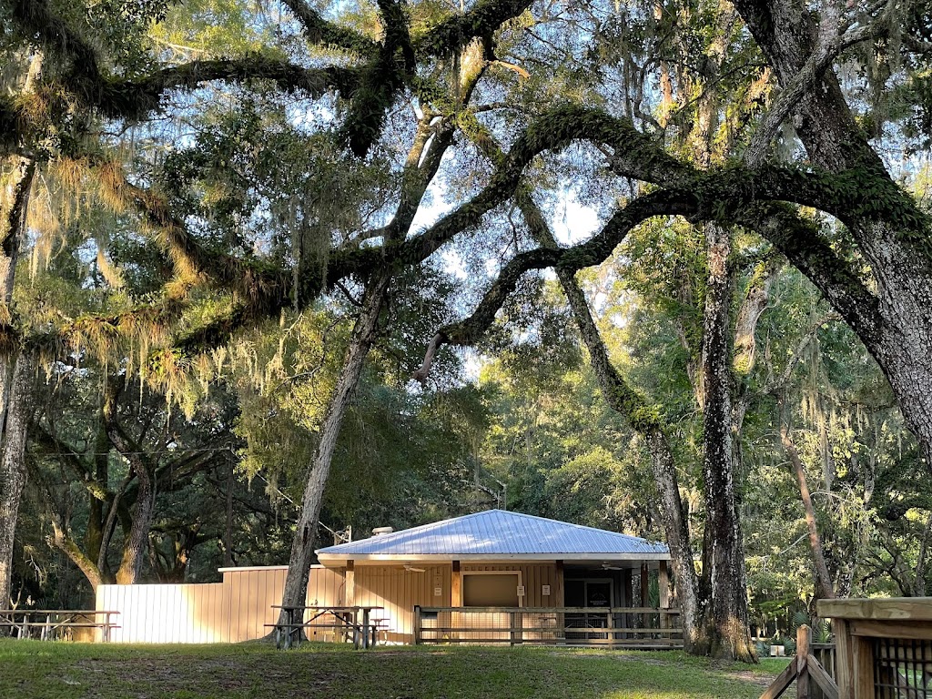 Manatee Springs State Park Tours & Activities | restaurant | 11650 NW 115th St, Chiefland, FL 32626, USA | 3526639960 OR +1 352-663-9960