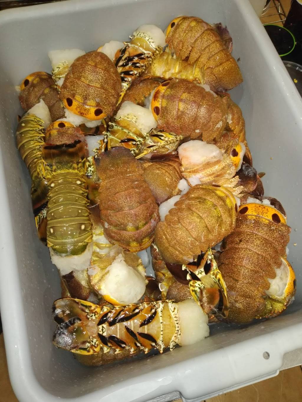 Picky Eaters | restaurant | 1456 Flatbush Ave, Brooklyn, NY 11210, USA | 9179669732 OR +1 917-966-9732