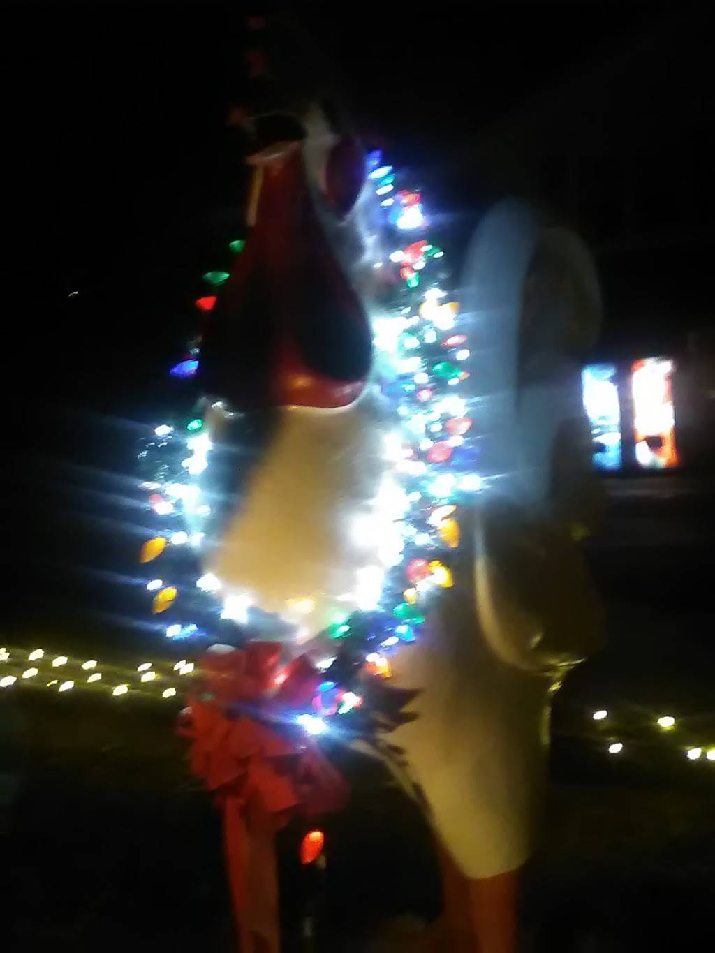 Lumpkins Restaurant and Motel | restaurant | 1075 Valley St, Scottsville, VA 24590, USA | 4342863690 OR +1 434-286-3690