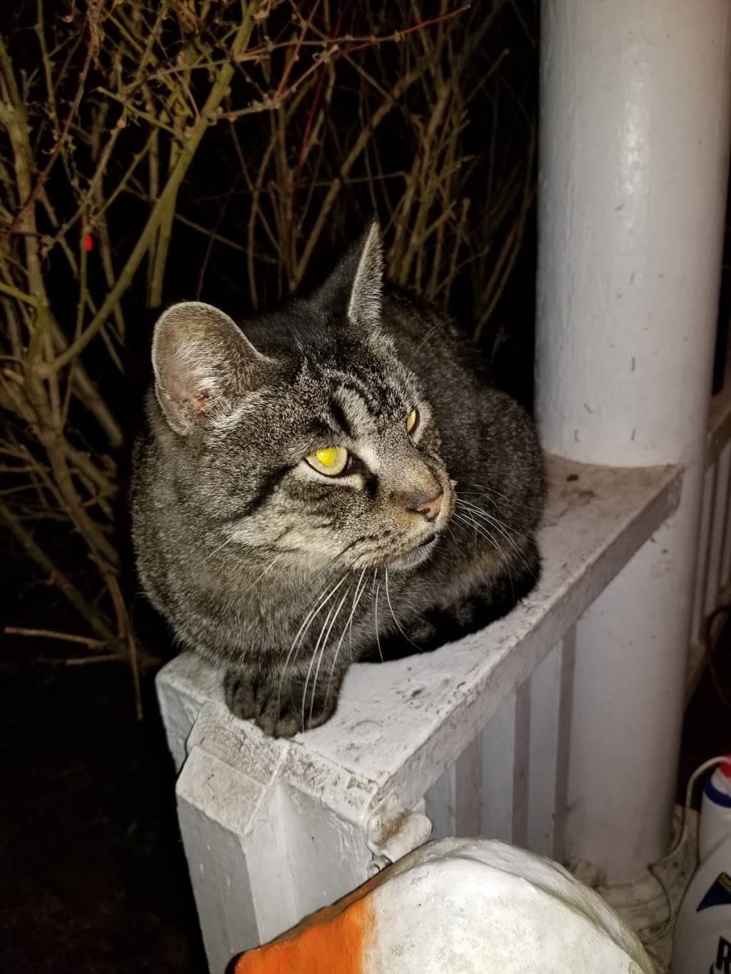 Taco Bell | meal takeaway | 420 W Main St, Pomeroy, OH 45769, USA | 7409926699 OR +1 740-992-6699