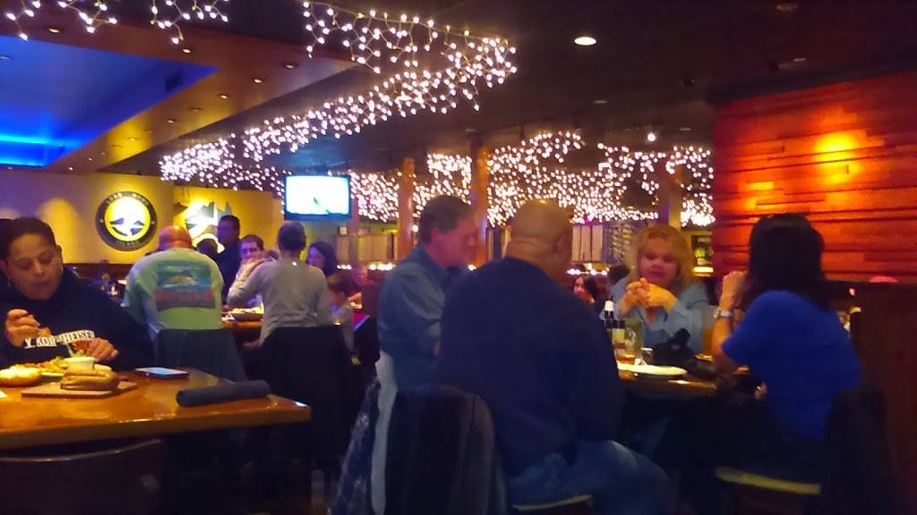 Outback Steakhouse | restaurant | 6649 Crain Hwy, La Plata, MD 20646, USA | 3019349599 OR +1 301-934-9599