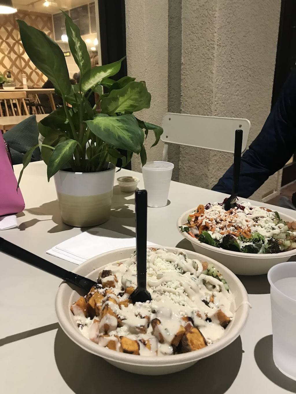 Anzo - Palm Beach Gardens | restaurant | 4747 PGA Boulevard, Palm Beach Gardens, FL 33418, USA | 5613667753 OR +1 561-366-7753