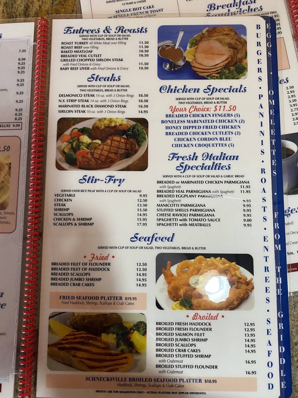 The New Schnecksville Family Diner | restaurant | 4527 PA-309, Schnecksville, PA 18078, USA | 6107603018 OR +1 610-760-3018