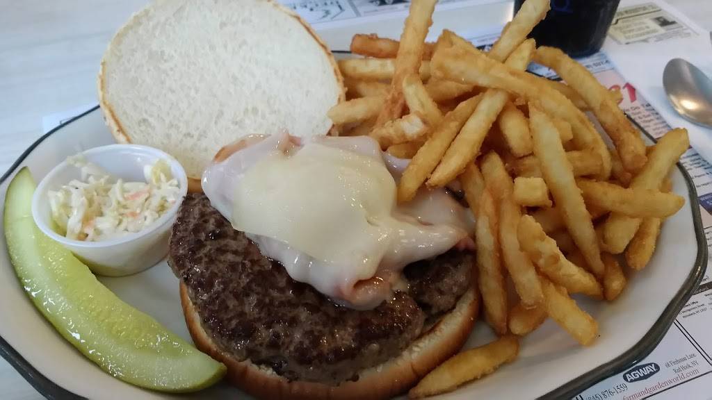 Elizaville Diner | restaurant | 573, W Kerleys Corners Rd, Elizaville, NY 12523, USA | 8457563559 OR +1 845-756-3559