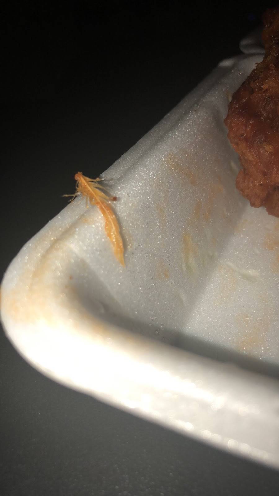 Randys | restaurant | 3431, 1693 Putnam Ave, Ridgewood, NY 11385, USA | 7183811198 OR +1 718-381-1198