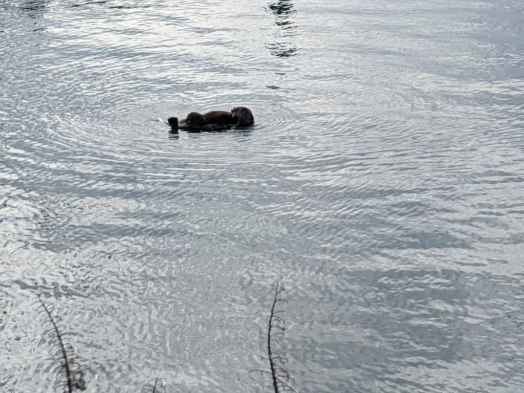 Frankie and Lolas Front Street Cafe | cafe | 1154 Front St, Morro Bay, CA 93442, USA | 8057719306 OR +1 805-771-9306