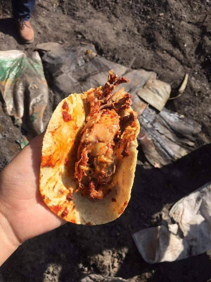 Sol Supermarket & Taqueria | restaurant | 7200 Lyons Ave, Houston, TX 77020, USA | 7136713550 OR +1 713-671-3550