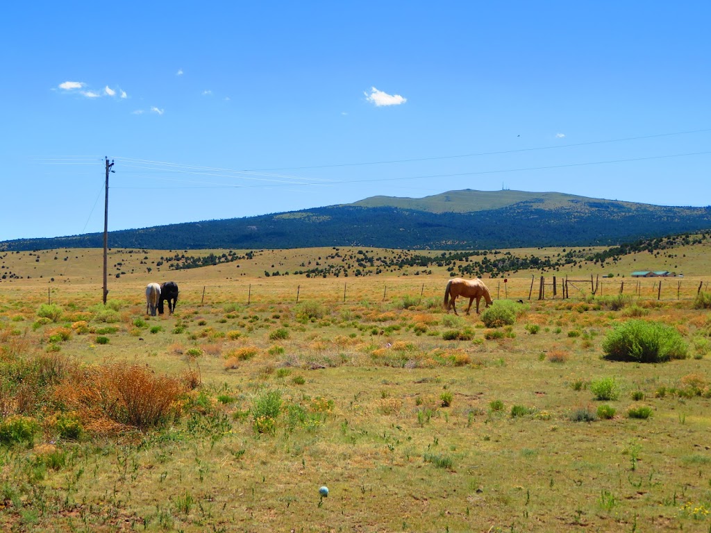 Sierra Grande Restaurant | restaurant | 6 Sierra Road, Des Moines, NM 88418, USA | 5752782721 OR +1 575-278-2721