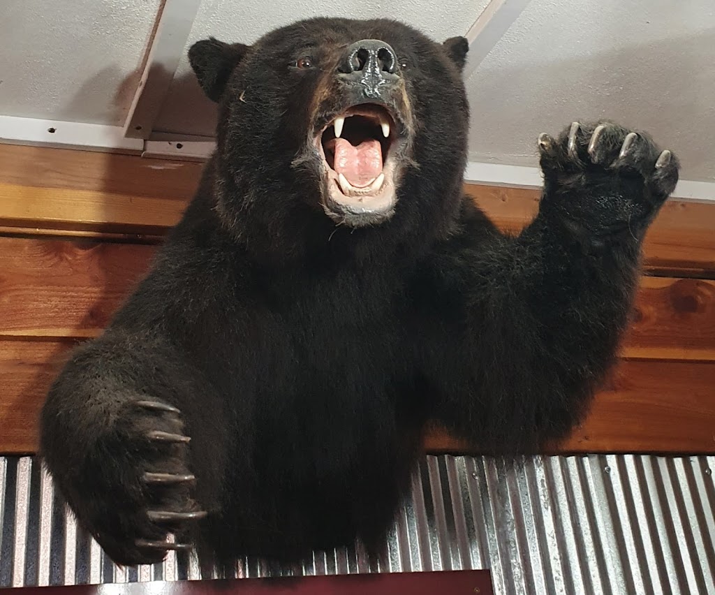 Ten Sleep Saloon & Steakhouse | restaurant | 211 2nd St, Ten Sleep, WY 82442, USA | 3073662237 OR +1 307-366-2237