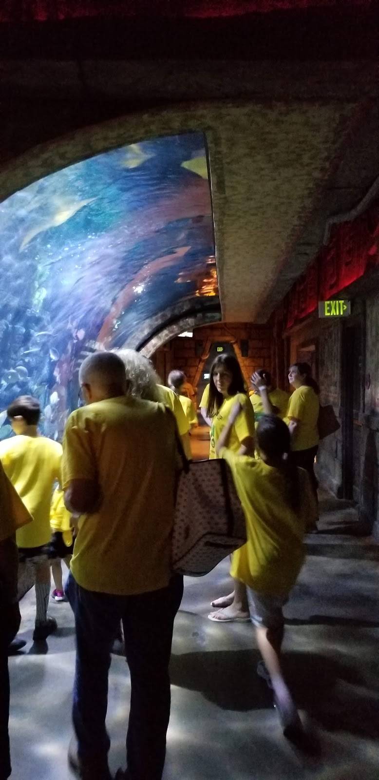 The Aquarium | restaurant | Gulf Fwy, Houston, TX 77002, USA | 2813645341 OR +1 281-364-5341