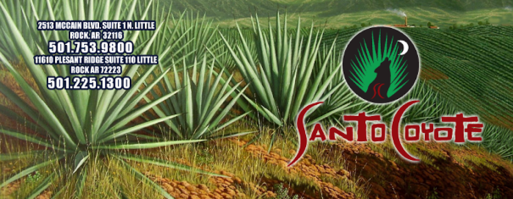Santo Coyote | restaurant | 11610 Pleasant Ridge Rd SUITE 110, Little Rock, AR 72223, USA | 5012251300 OR +1 501-225-1300
