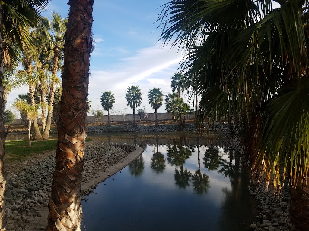 DB Sports Bar & Steakhouse | restaurant | 2477 Discovery Bay Blvd, Discovery Bay, CA 94505, USA | 9255133435 OR +1 925-513-3435