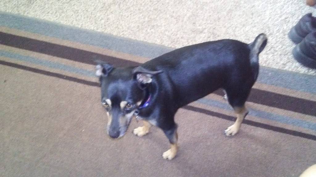 Jilbertos Taco Shop | restaurant | 573 W Vista Way, Vista, CA 92083, USA | 7606432245 OR +1 760-643-2245