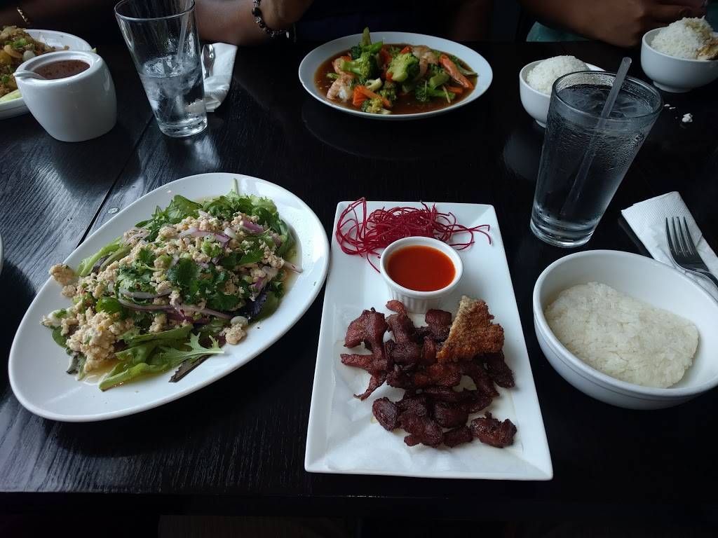 OCha Thai Cuisine | restaurant | 2062 N Damen Ave, Chicago, IL 60647, USA | 7732356242 OR +1 773-235-6242