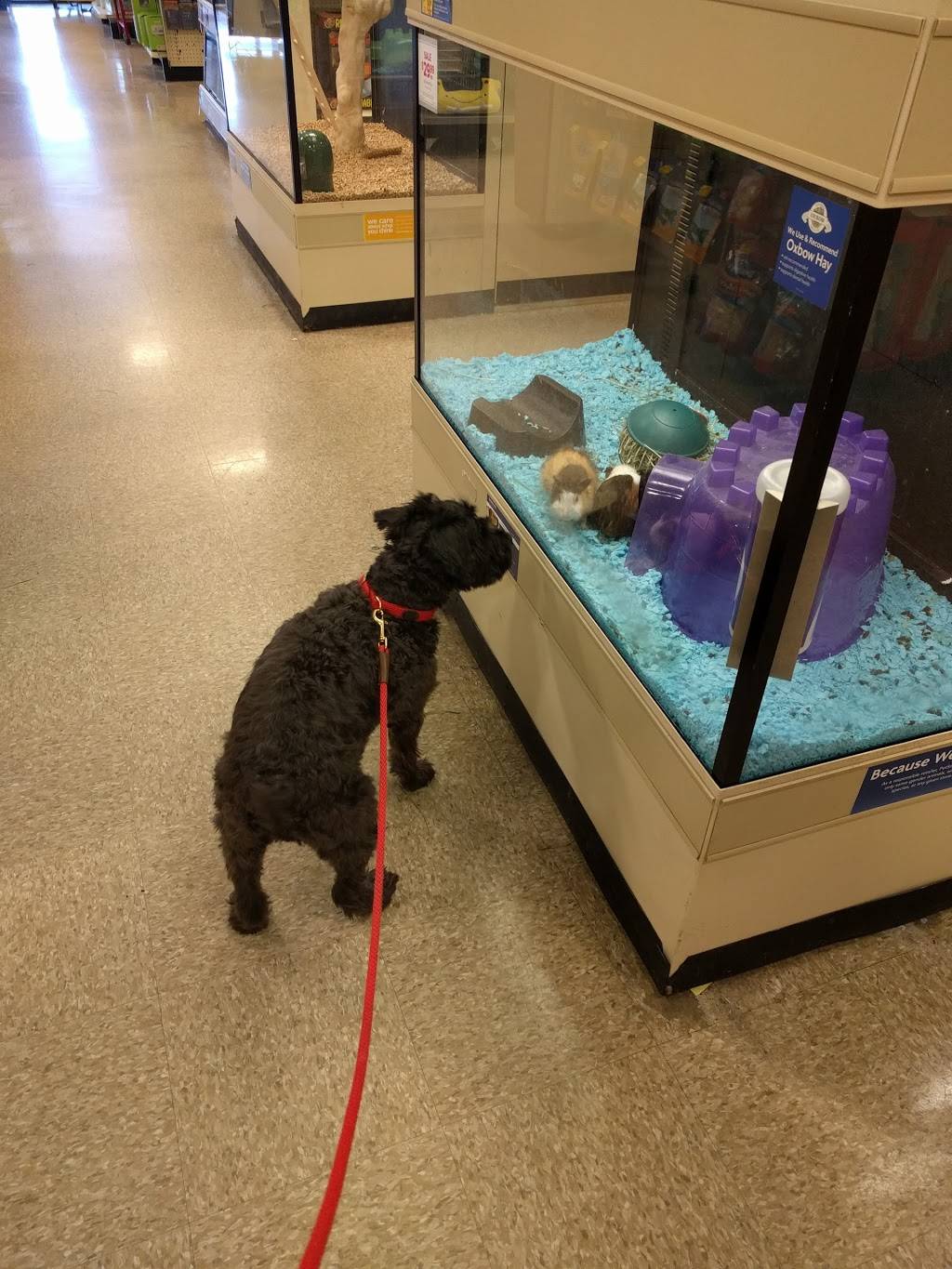 Shops at Saugus | shopping mall | 334 Broadway, US-1, Saugus, MA 01906, USA | 6107471200 OR +1 610-747-1200