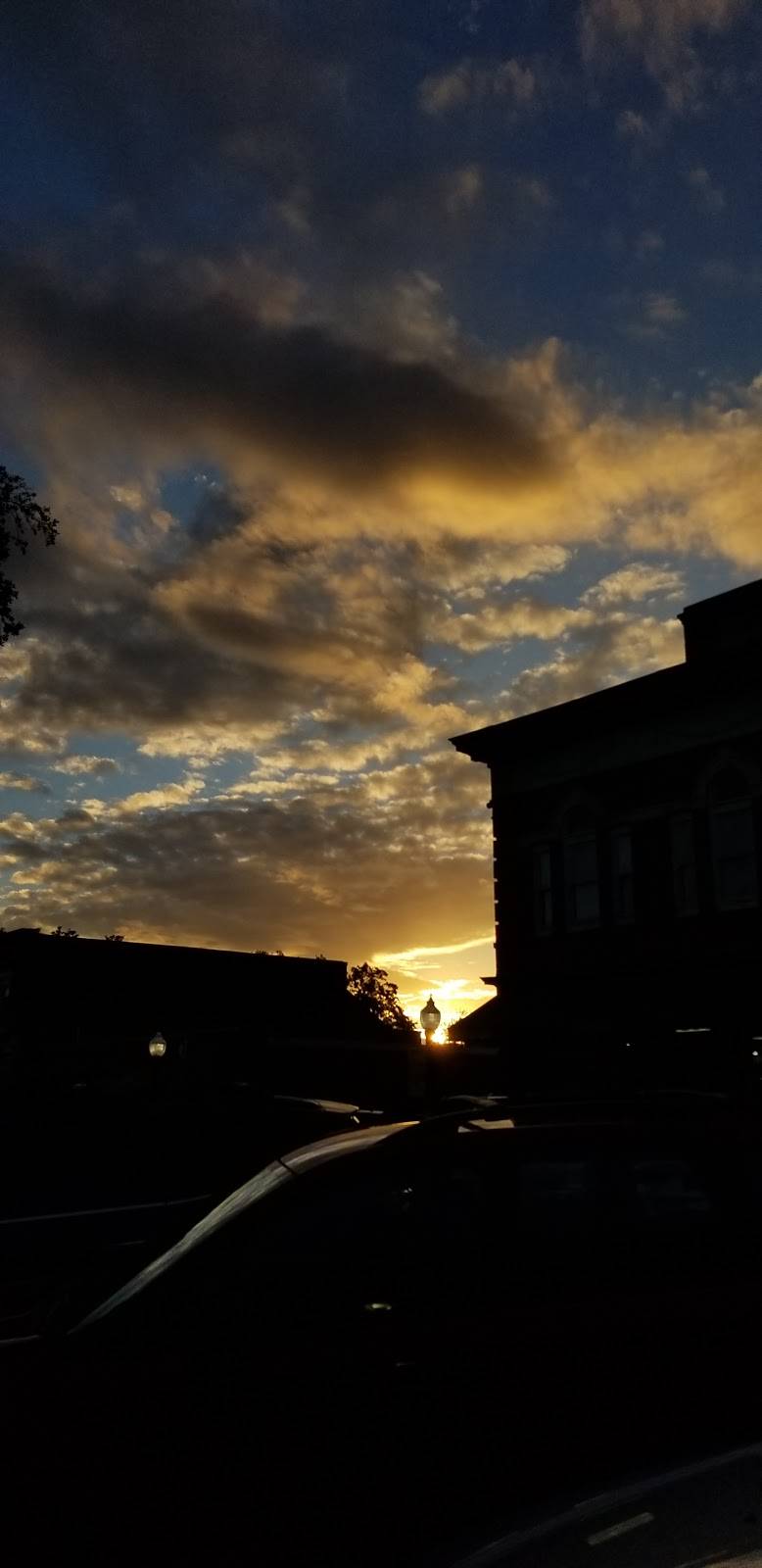 This Little Piggy | restaurant | 100 Central Ave, Summerville, SC 29483, USA | 8435943108 OR +1 843-594-3108