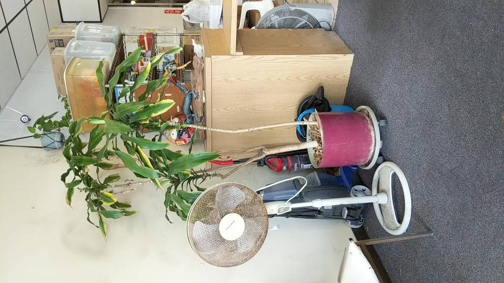 Chi Lin Restaurant | restaurant | 2137 N Courtenay Pkwy # 35, Merritt Island, FL 32953, USA | 3214536400 OR +1 321-453-6400