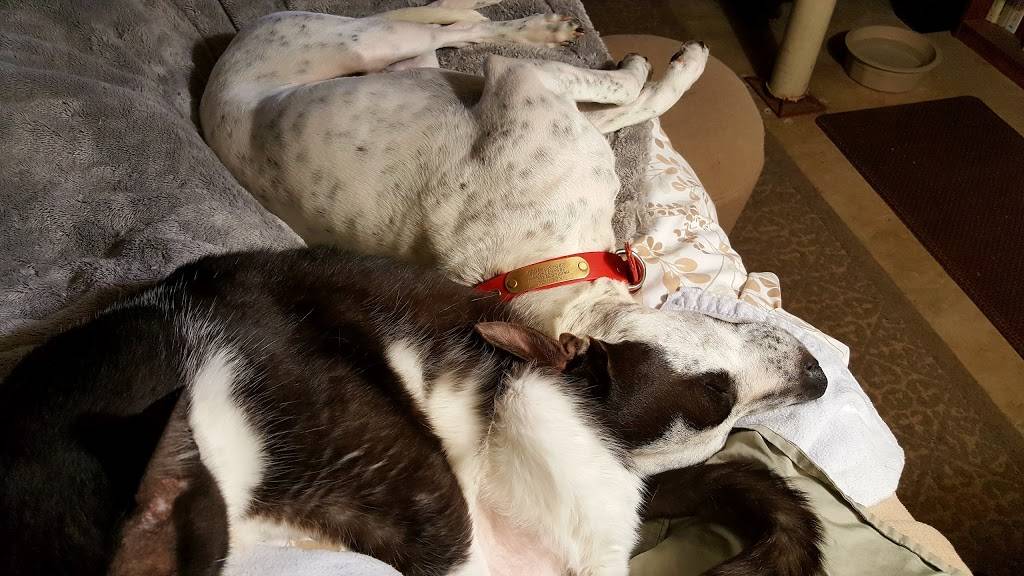 Jacks | restaurant | 5320 Old Hwy 280, Harpersville, AL 35078, USA | 2056727788 OR +1 205-672-7788