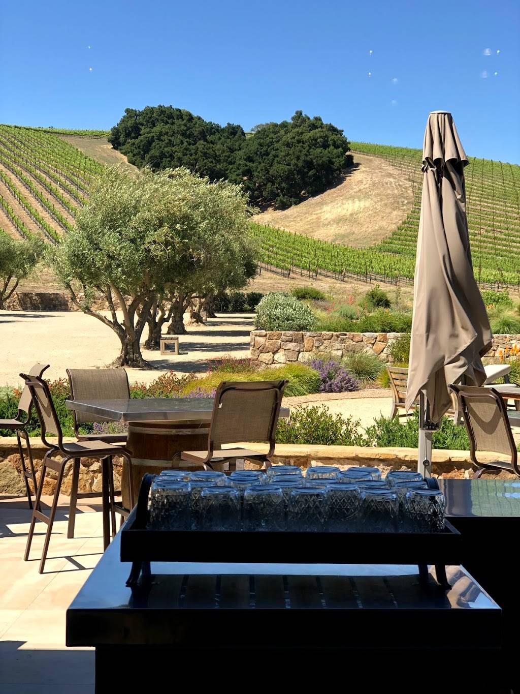 Niner Wine Estates | restaurant | 2400 CA-46, Paso Robles, CA 93446, USA | 8052392233 OR +1 805-239-2233