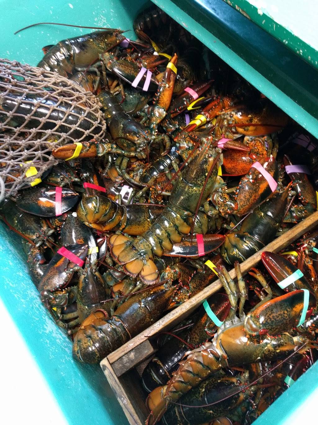 Trenton Bridge Lobster Pound | restaurant | 1237 Bar Harbor Rd, Trenton, ME 04605, USA | 2076672977 OR +1 207-667-2977