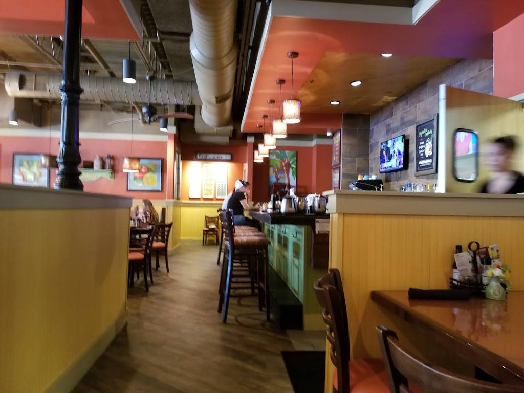 Another Broken Egg Cafe | cafe | 2554 North McMullen Booth Rd, Clearwater, FL 33761, USA | 7272400655 OR +1 727-240-0655