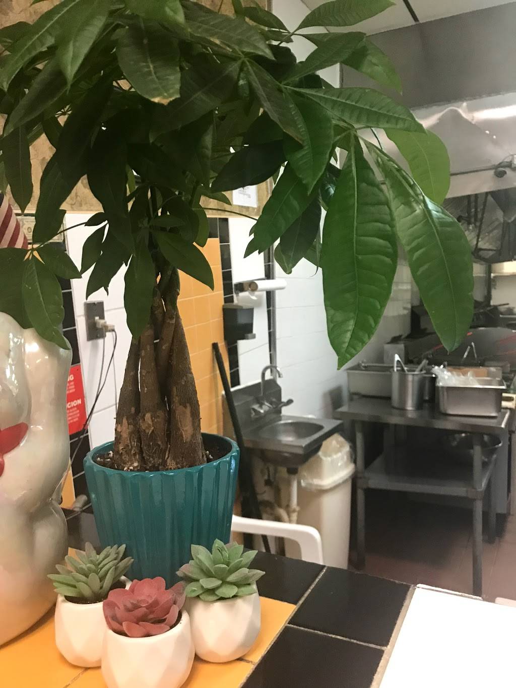 Lams Garden | restaurant | 1100 Raleigh Blvd # 113, Raleigh, NC 27610, USA | 9198282118 OR +1 919-828-2118