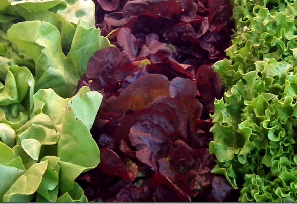 Fresh-A-Fare | restaurant | 530 Welham Rd, Barrie, ON L4N 8Z7, Canada | 7057223787 OR +1 705-722-3787