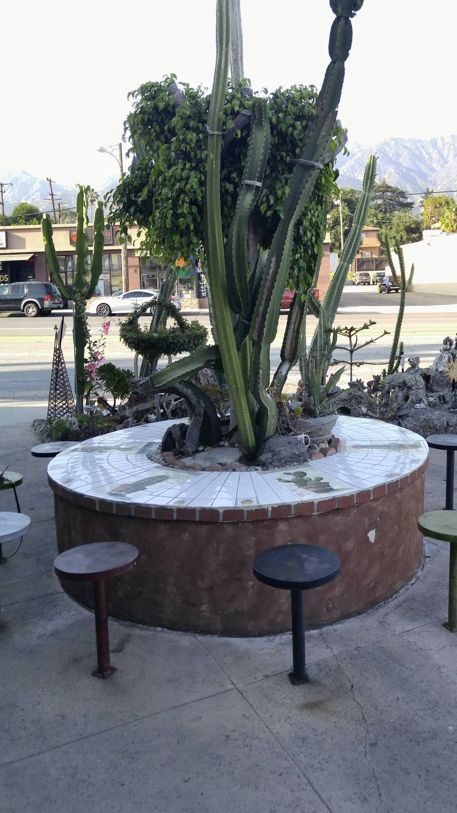 Pollos Puebla | restaurant | 2057 N Los Robles Ave, Pasadena, CA 91104, USA | 6263988956 OR +1 626-398-8956