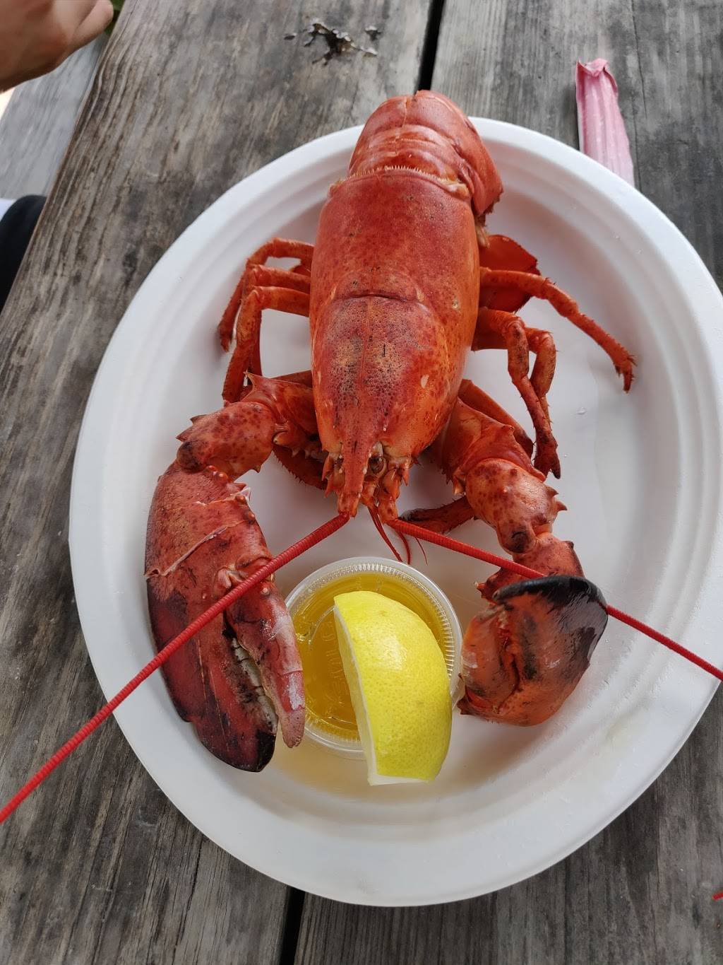 The Net Result | meal takeaway | 79 Beach Rd, Vineyard Haven, MA 02568, USA | 5086936071 OR +1 508-693-6071