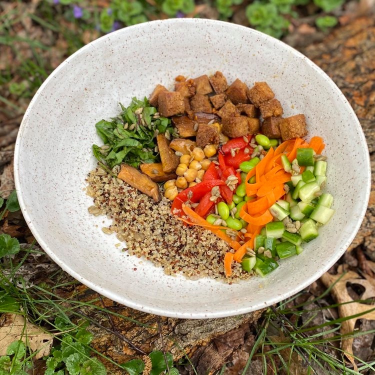 Volta Vegan | meal delivery | 201 N Forest Ave, Independence, MO 64050, USA | 8166862436 OR +1 816-686-2436