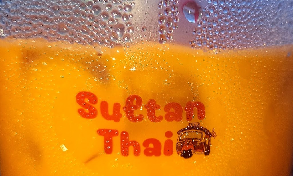 Sultan Thai Restaurant | restaurant | 31115 US-2, Sultan, WA 98294, USA | 3608633937 OR +1 360-863-3937