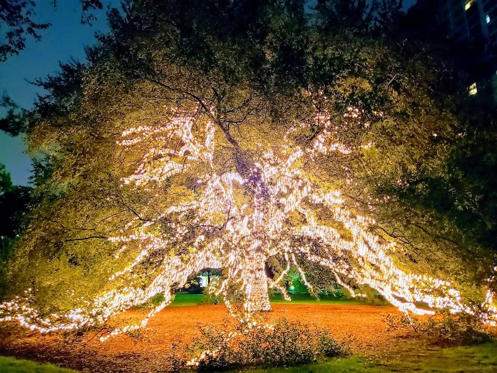 The Manor House | restaurant | 111 N Post Oak Ln, Houston, TX 77024, USA | 7136856840 OR +1 713-685-6840