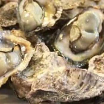 Cypress Point Store ???? | restaurant | 904 St Johns Ave, Palatka, FL 32177, USA | 3863263842 OR +1 386-326-3842