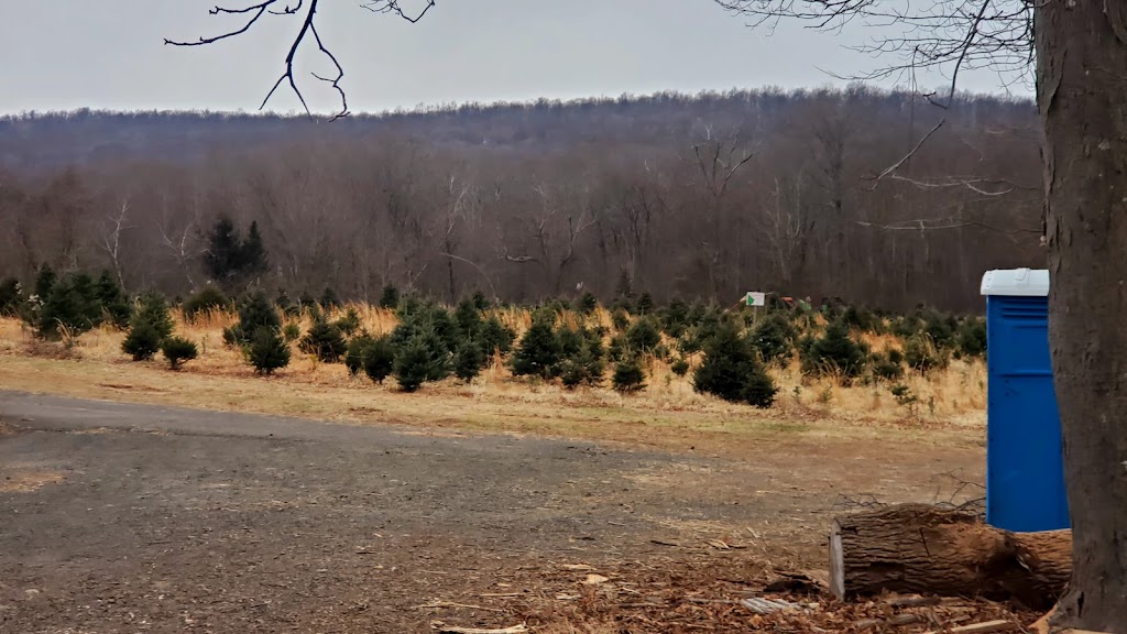 Miller Tree Farm | restaurant | 301 Tri Mountain Rd, Durham, CT 06422, USA | 8603499511 OR +1 860-349-9511
