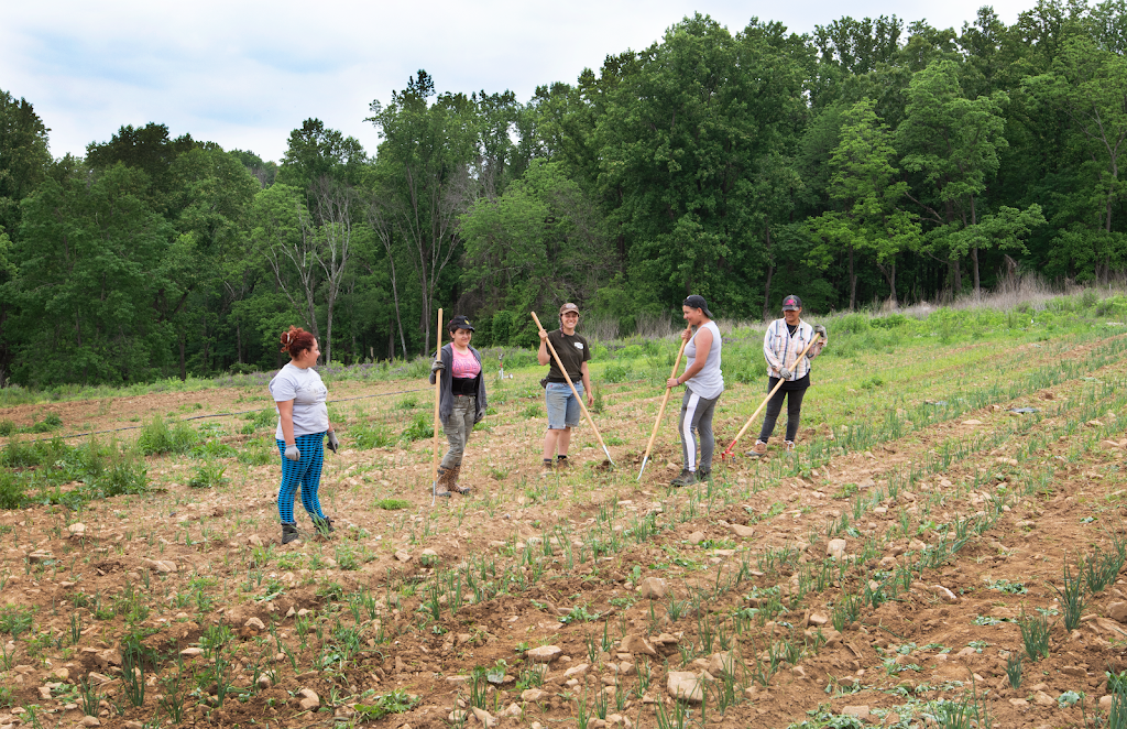 Ironbound Farm | restaurant | 360 Co Rd 579, Asbury, NJ 08802, USA | 9089404115 OR +1 908-940-4115