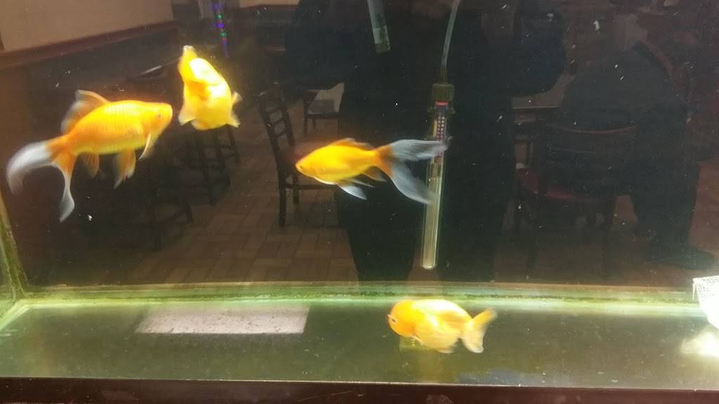 Great Wall Chinese Restaurant | restaurant | 6814 Tilton Rd, Egg Harbor Township, NJ 08234, USA | 6093838848 OR +1 609-383-8848