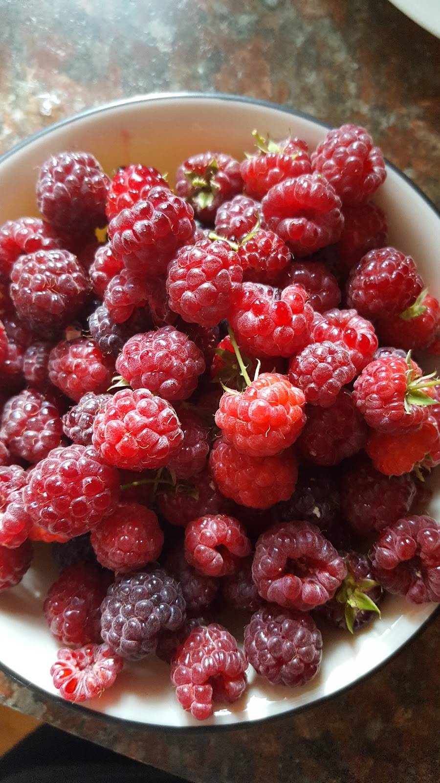 Autour Du Moulin | bakery | 859 Rue Notre-Dame, Repentigny, QC J5Y 1C6, Canada | 4506541611 OR +1 450-654-1611