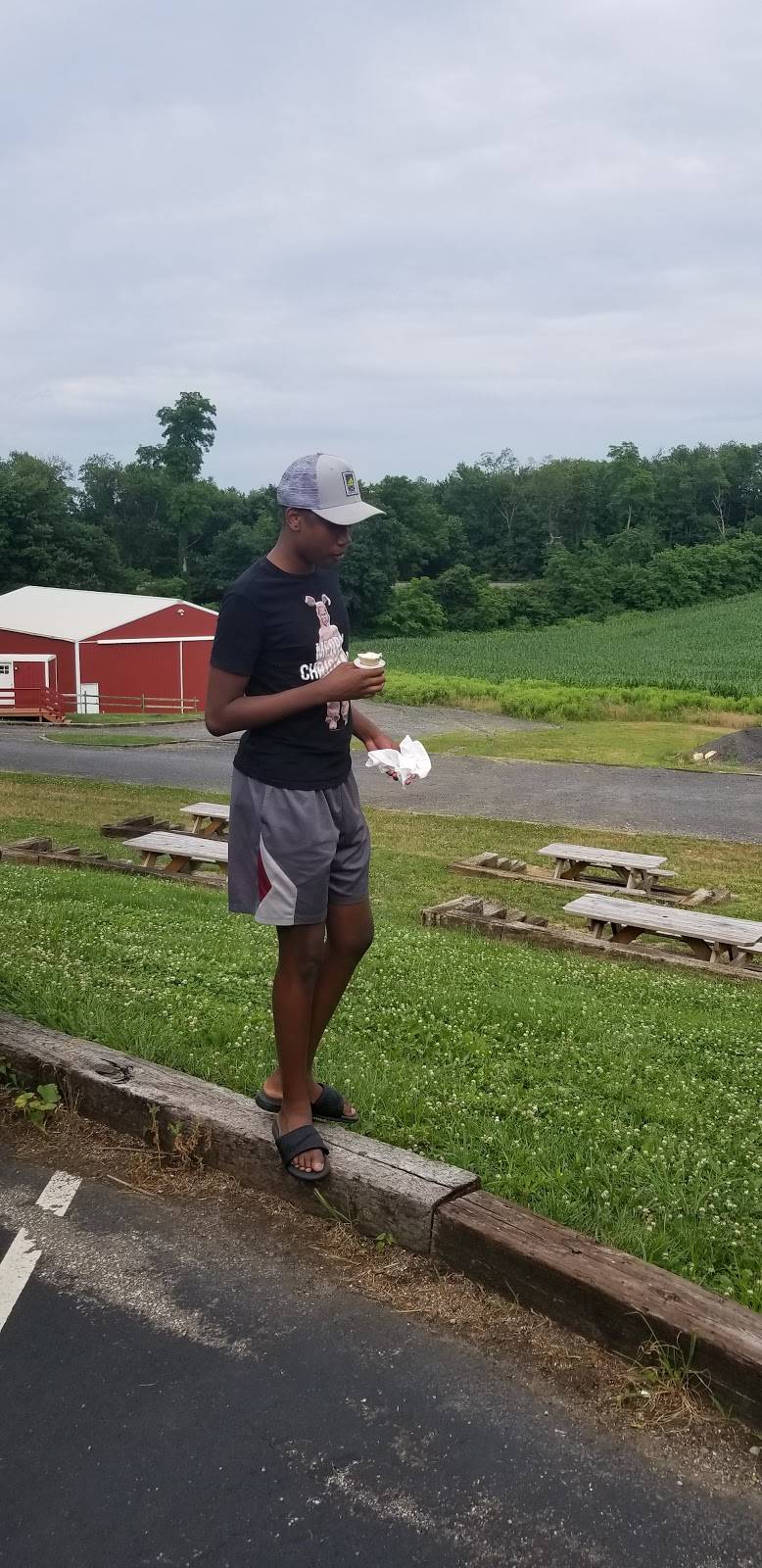 Char’d Barbecue | restaurant | 15513 Hanover Pike, Upperco, MD 21155, USA | 4434881255 OR +1 443-488-1255