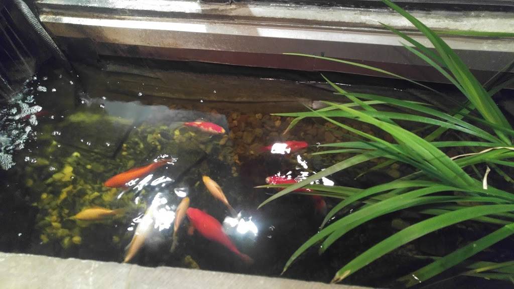 Taos Restaurant | restaurant | 356 Paterson Ave, East Rutherford, NJ 07073, USA | 2014608988 OR +1 201-460-8988