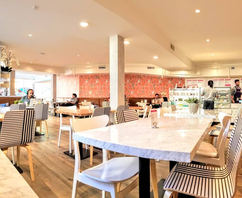 Parakeet Cafe | cafe | 1680 India St, San Diego, CA 92101, USA | 6192551442 OR +1 619-255-1442