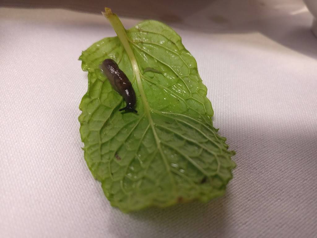 Phong Dinh Restaurant | restaurant | 107 E Valley Blvd, San Gabriel, CA 91776, USA | 6263078868 OR +1 626-307-8868