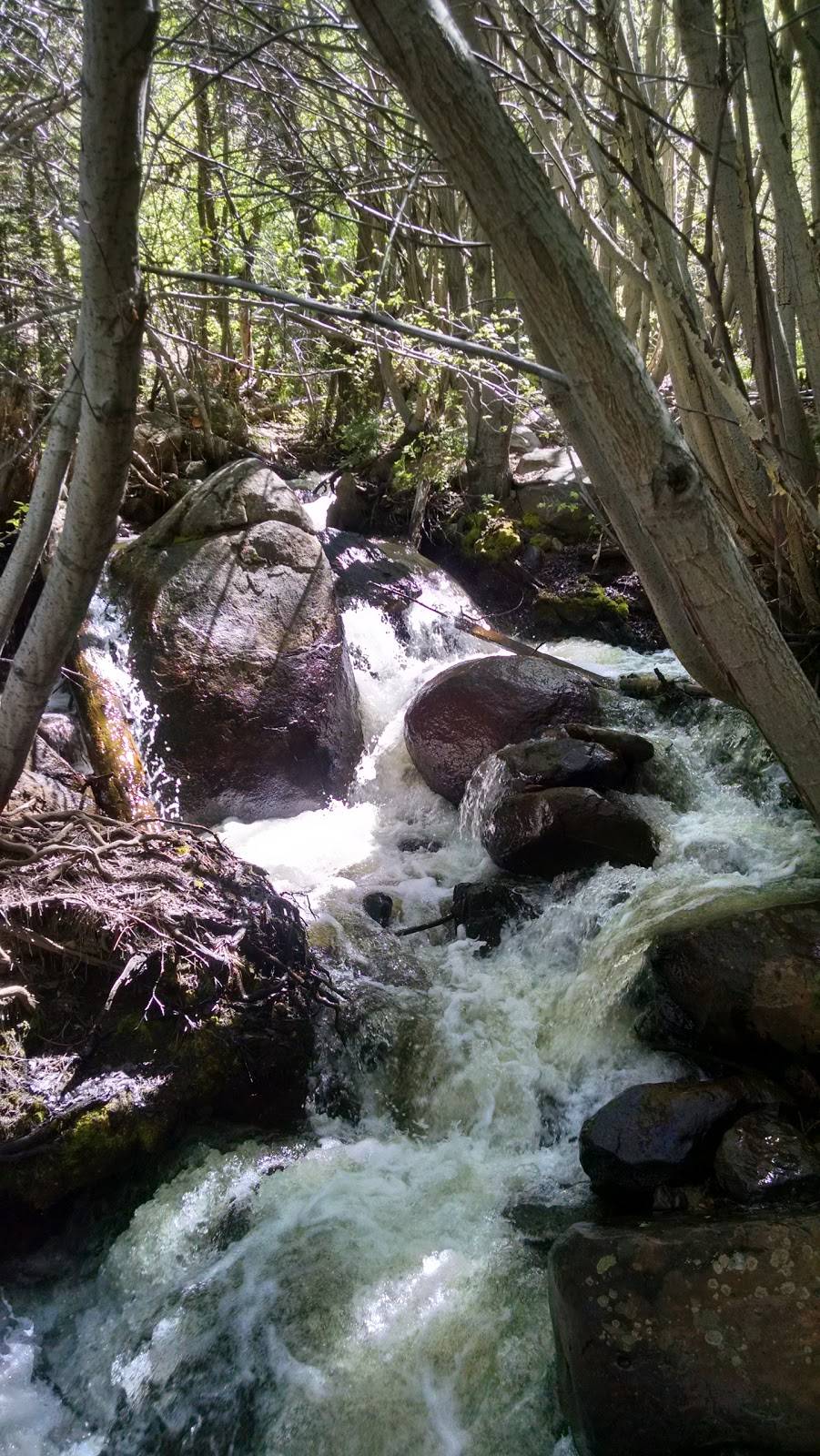 Big Water Grille | restaurant | 341 Ski Way, Incline Village, NV 89451, USA | 7758330606 OR +1 775-833-0606